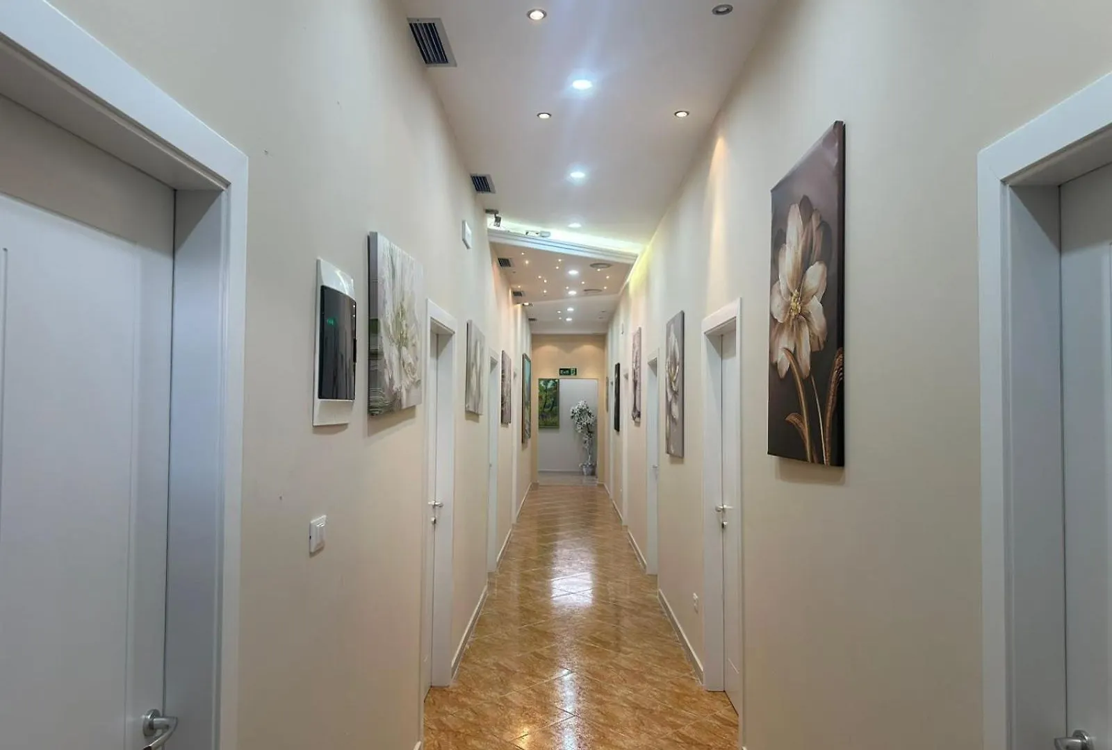 Hotel Osmani Maminas